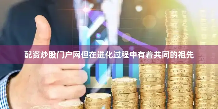 配资炒股门户网但在进化过程中有着共同的祖先