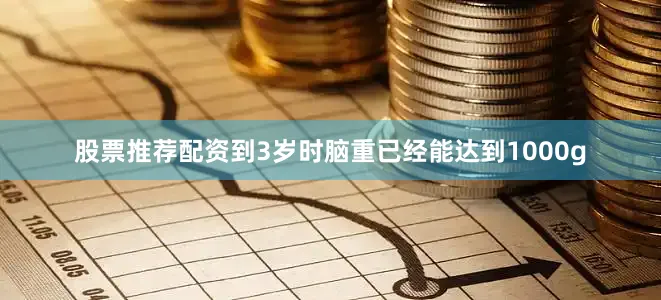 股票推荐配资到3岁时脑重已经能达到1000g